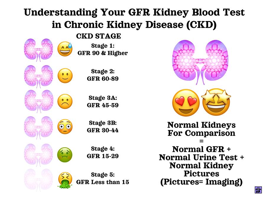 understanding-your-gfr-kidney-test-mixed-media-by-happy-ingenuity