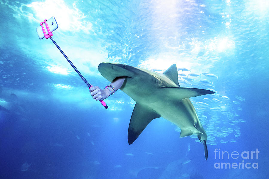 Underwater selfie shark #1 Digital Art by Benny Marty