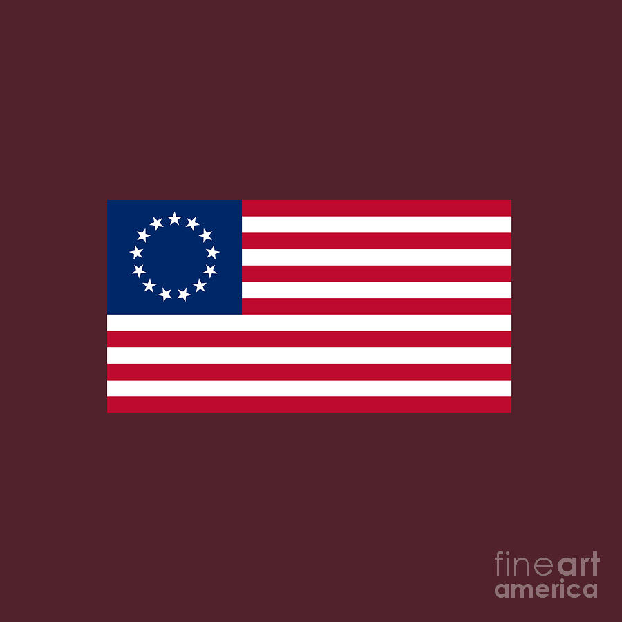 Independence Day Digital Art - United States Flag #1 by Frederick Holiday