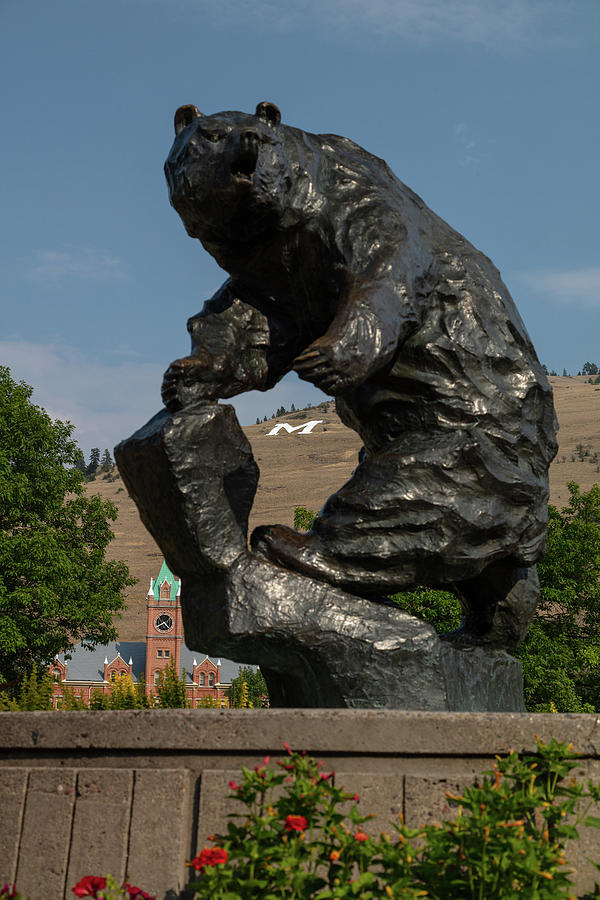 University of Montana Grizzly statue - Grand Griz #1 Photograph by Eldon McGraw