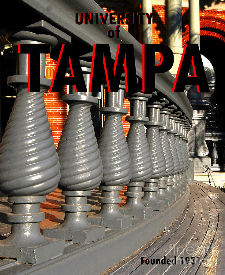 University Of Tampa Poster A Photograph