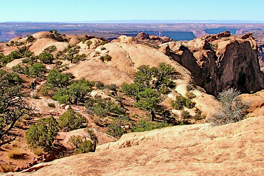 Upheaval Dome Overlook, Island in the Sky, Canyonlands  National Park, Utah. #1 Photograph by Ruth Hager