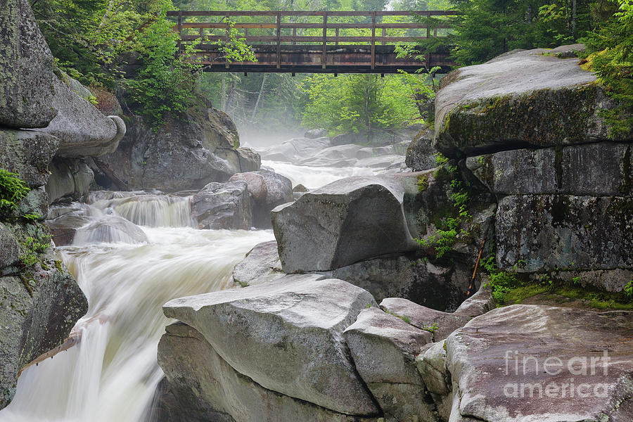 Upper Ammonoosuc Falls - Crawfords Purchase, New Hampshire #1 Photograph by Erin Paul Donovan