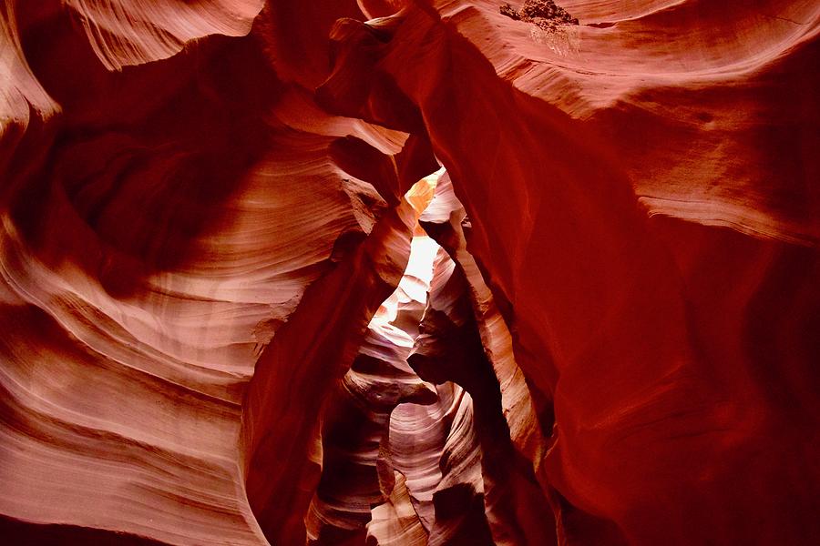 The Lions Head rock formation - Upper Antelope Photograph by Bnte Creations