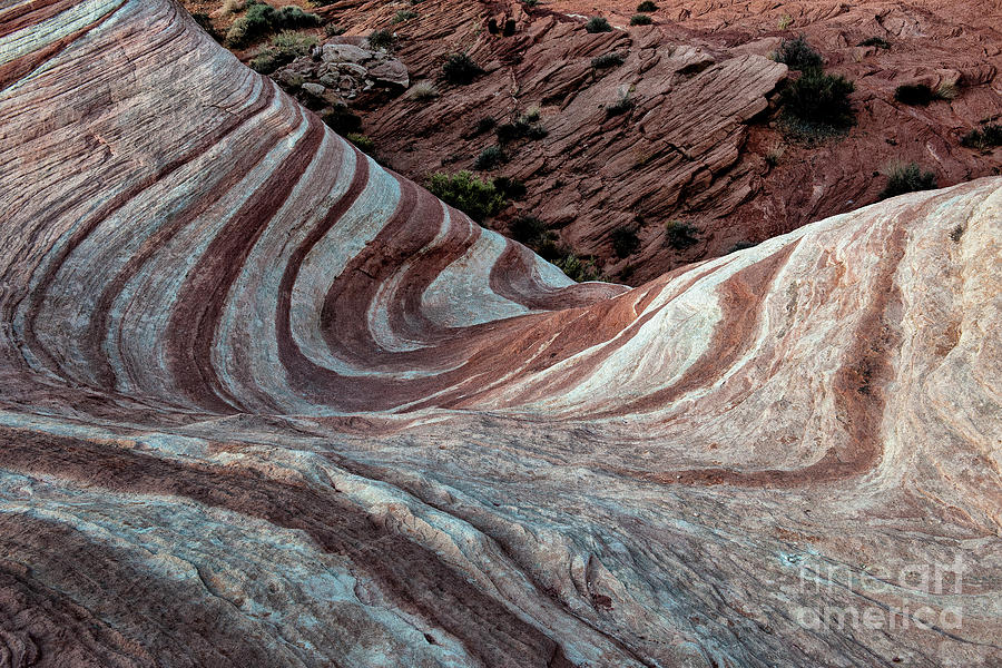 Valley of Fire - The Wave #1 Photograph by Sandra Bronstein