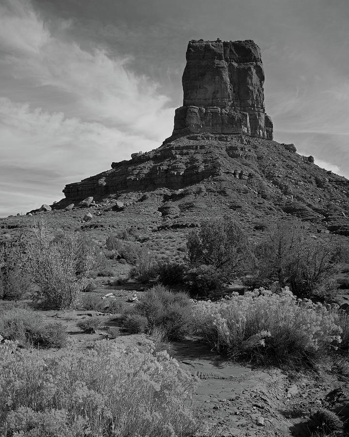 Valley of the Gods #1 #2 Photograph by Tom Daniel