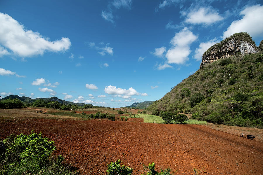 Valley of Vinales. Cuba #1 Photograph by Lie Yim