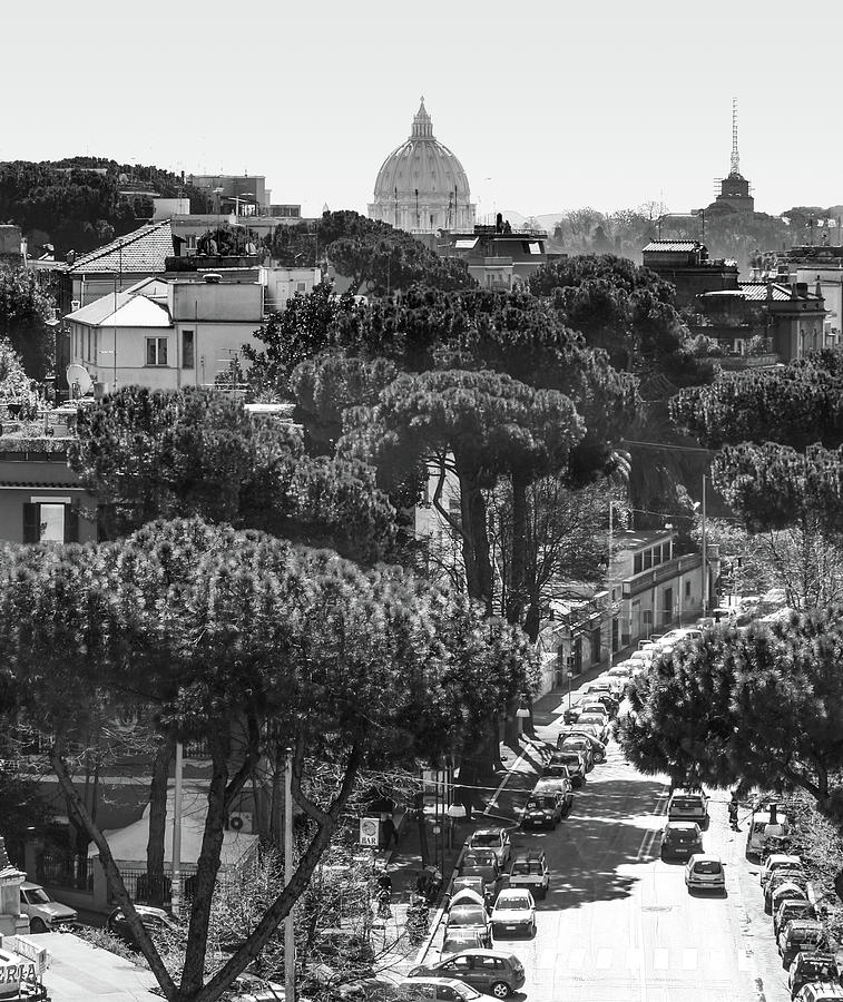 Vatican and Viale Medaglie DOro #1 Photograph by Sonny Marcyan