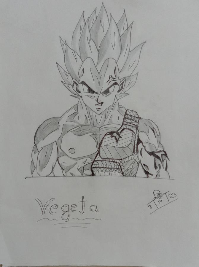 Ultra Instinct Vegeta Drawing + Video