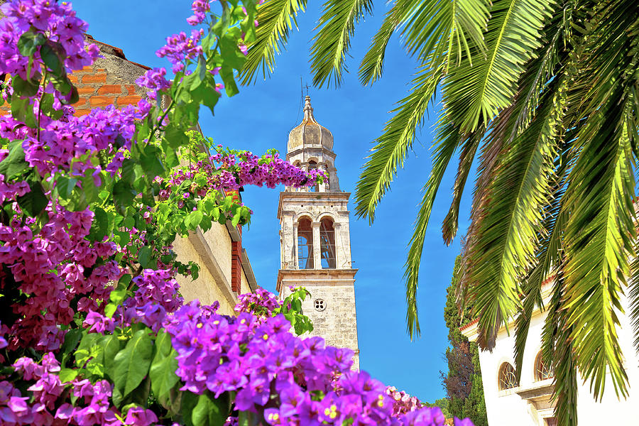 Vela Luka Town of Vela Luka on Korcula island church tower and  #1 Photograph by Brch Photography