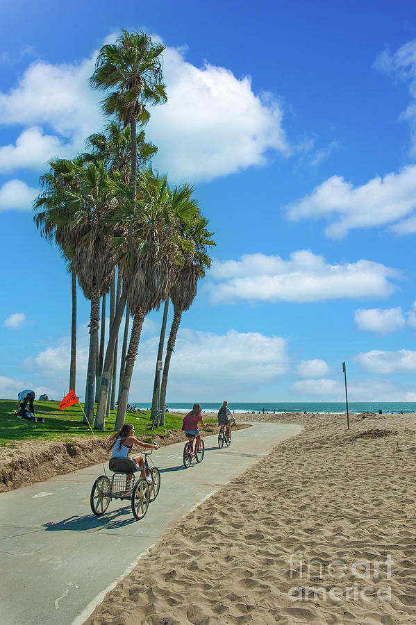 Bike Path Venice Beach CA  Photograph by David Zanzinger