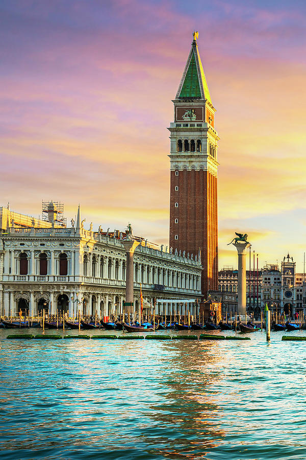 Venice landmark at dawn, Piazza San Marco with Campanile and Dog #1 Photograph by Stefano Orazzini