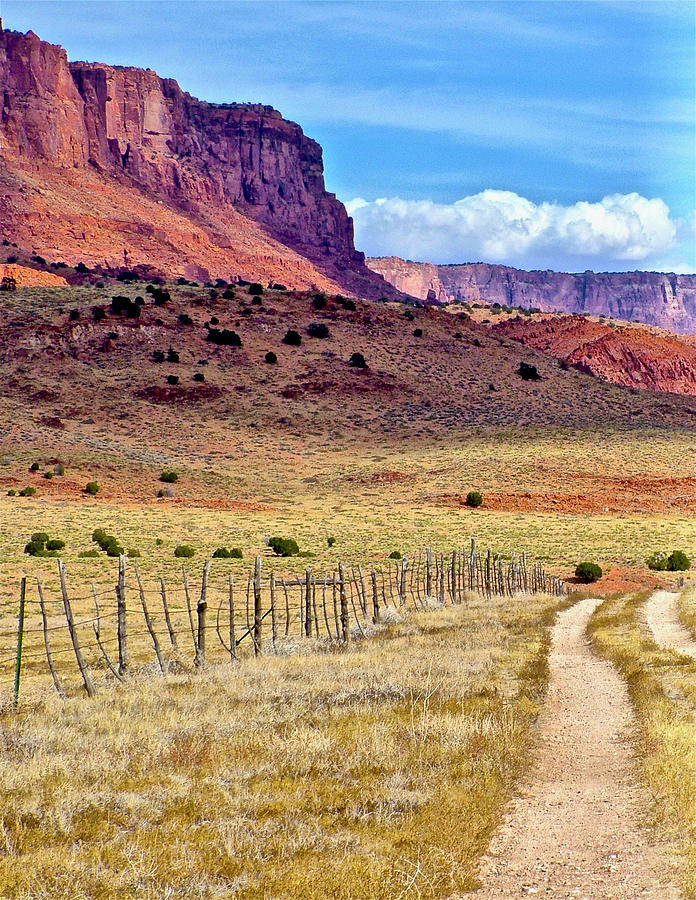 Vermilion Cliffs National Monument, Arizona  #1 Photograph by Ruth Hager
