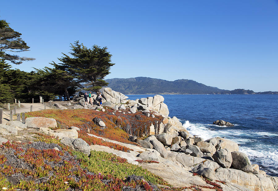 View of Pacific coast near 17-Mile Drive is a scenic road through ...