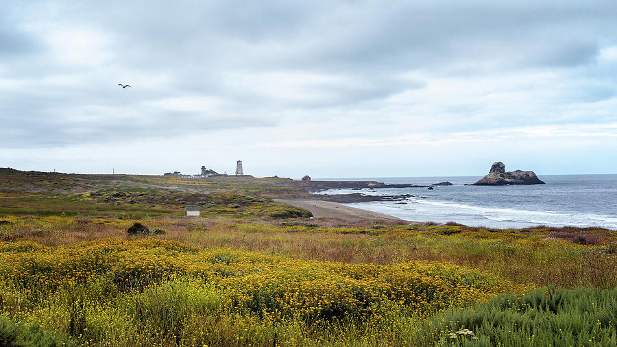 View of Piedras Blancas Lighthouse #1 Photograph by Lars Mikkelsen
