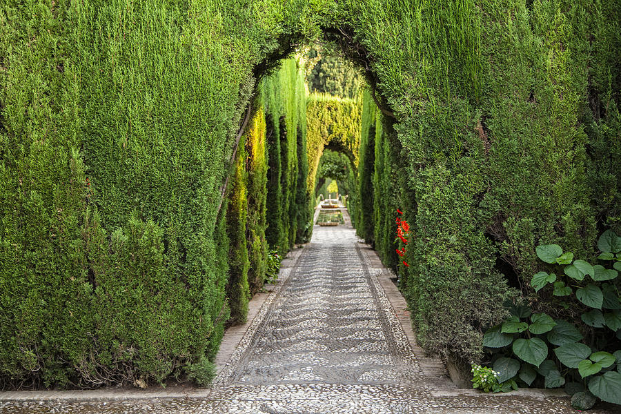 Views of the Generalife Gardens, in the palace of the Alhambra, Granada.  Andalusia.  Spain #1 Photograph by Juana Mari Moya