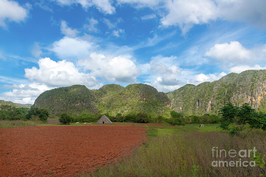 Vinales Valley in Pinar del Rio, Cuba Photograph by Manny ...