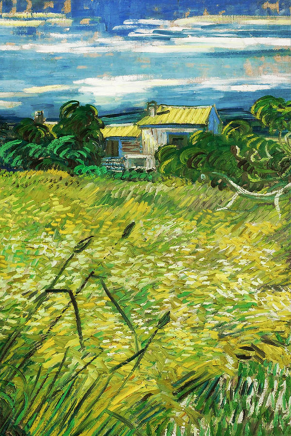 Vincent Van Gogh Green Field Painting By Jj Art Collections Fine Art