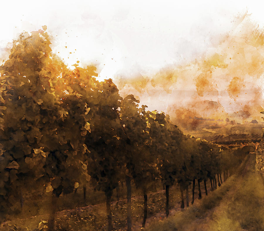 Vineyards in Tuscany - 08 #1 Painting by AM FineArtPrints