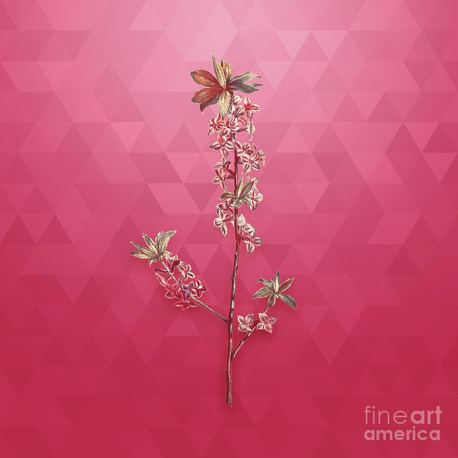 Vintage February Daphne Flowers in Gold on Viva Magenta #1 Mixed Media by Holy Rock Design