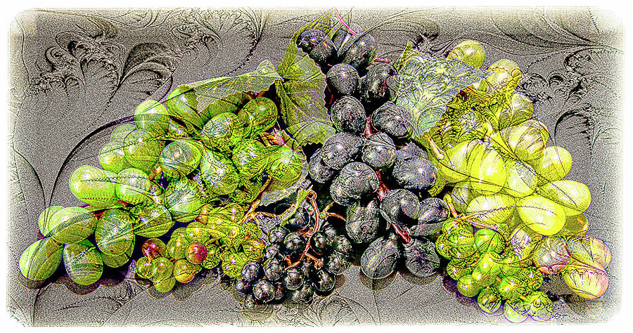 Vintage Grape Digital Wine Art Photograph