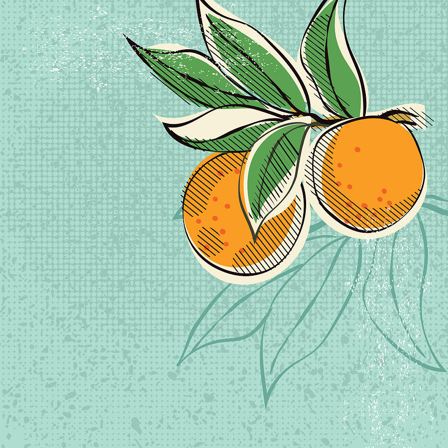 Vintage Style Advertising Oranges Poster #1 Drawing by Diane555