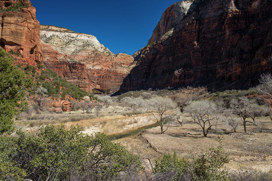 Virgin River in Zion Canyon #1 Photograph by David L Moore