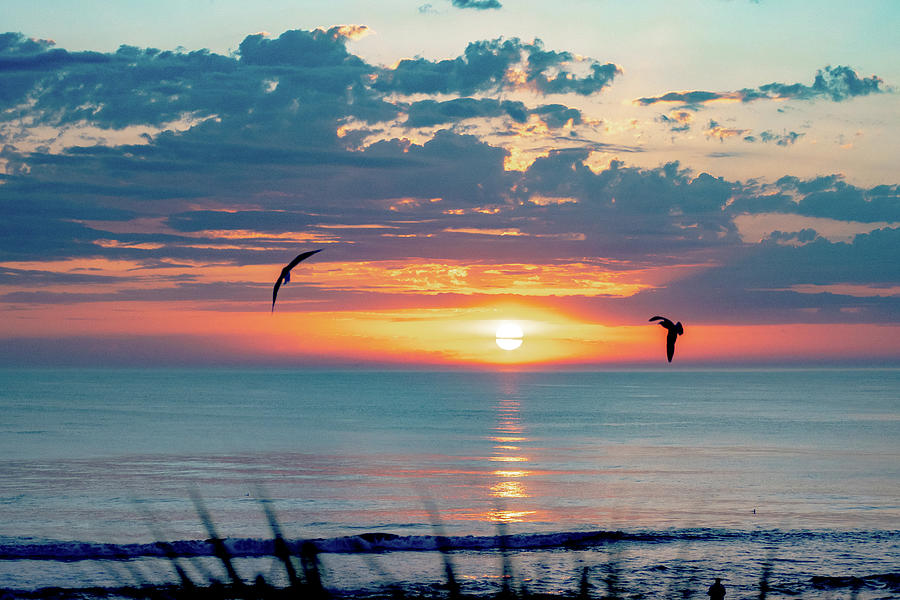 Virginia Beach Sunrise, Virginia Beach, Virginia #1 Photograph by Alex Grichenko