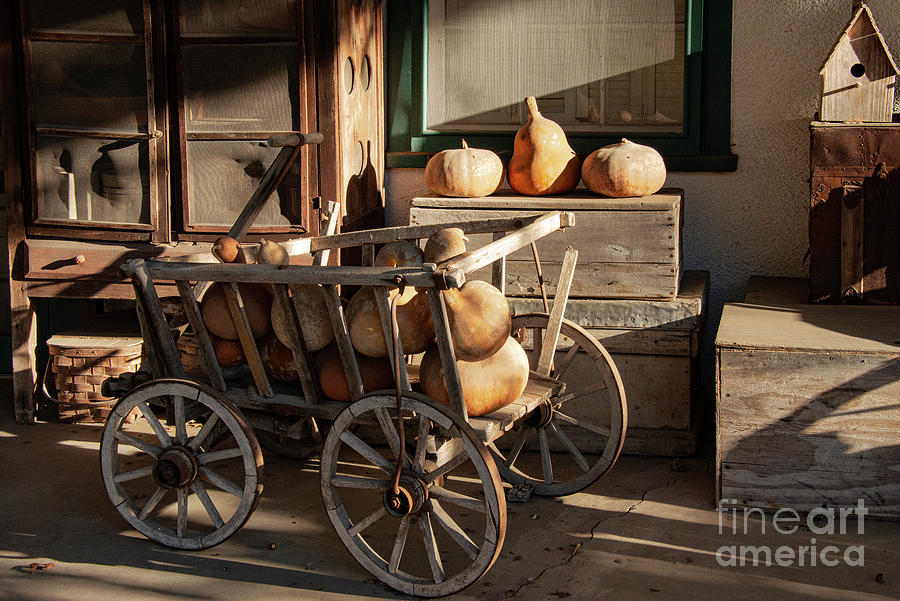 Wagon Full of Gourds #1 Photograph by Bob Phillips