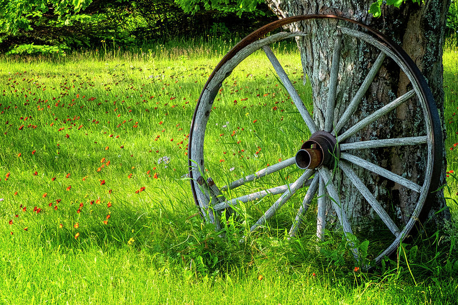 Wagon Wheel Photograph by Tom Singleton