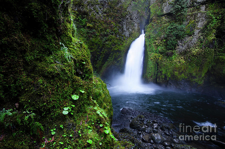 Wahclella Falls Oregon #1 Photograph by Bob Christopher