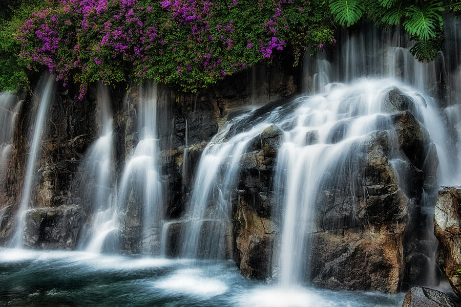 Wailea Falls with bougainvillea bloom. Photograph by Larry Geddis ...