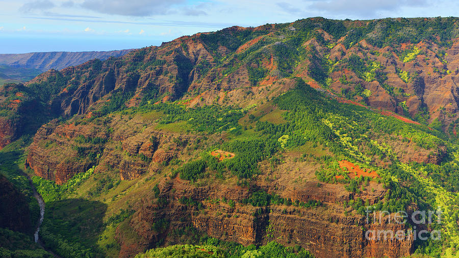 Waimea Canyon - Kauai, Hawaii #1 Photograph by Henk Meijer Photography