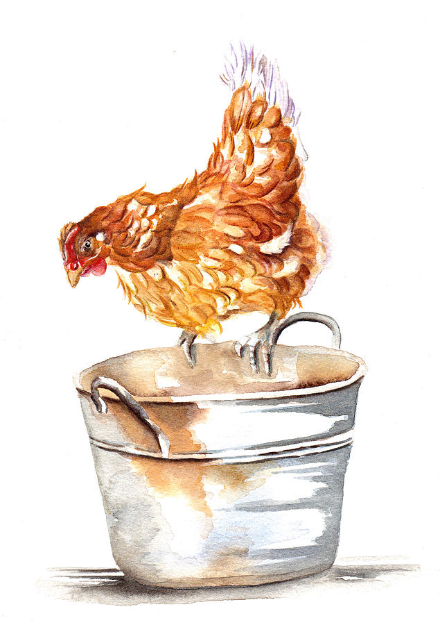 Hen on Bucket - Waiting for Lunch Painting by Debra Hall