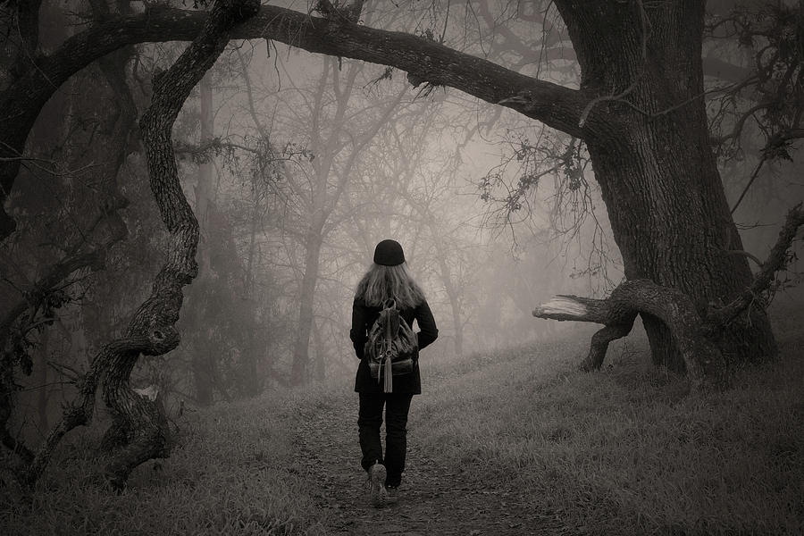 Walking into the misty forest path #2 Photograph by Alessandra RC