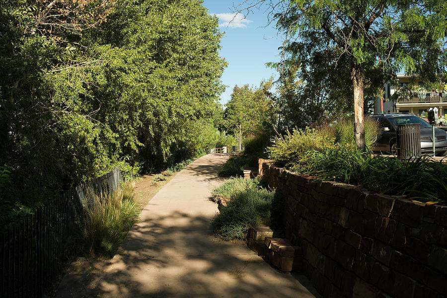 Walking path in the Santa Fe River Park #1 Photograph by David L Moore