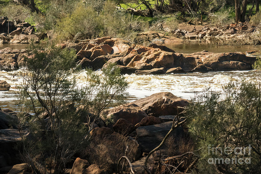 Avon River, Walyunga National Park, Western Australia Photograph by Elaine Teague