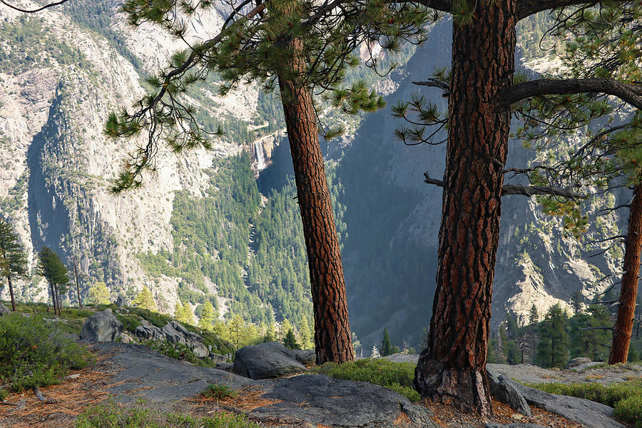 Washburn Point Yosemite #1 Photograph by Robert Blandy Jr