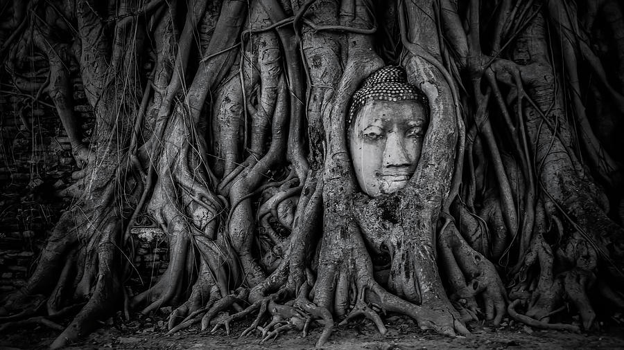 Buddha Photograph - Wat Mahathat #1 by Manjik Pictures