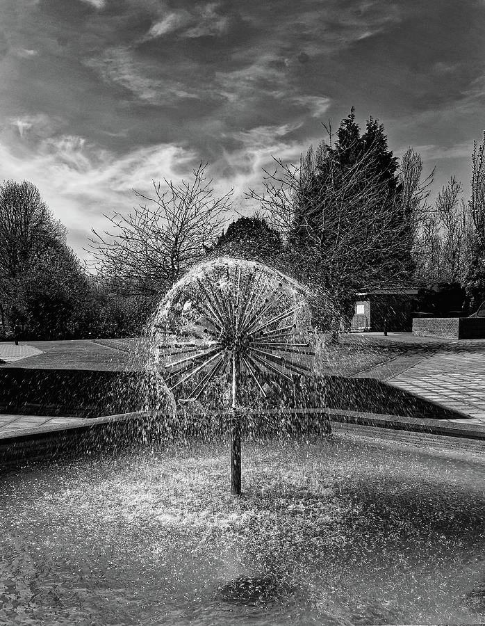 Water Feature Monochrome #1 Photograph by Jeff Townsend