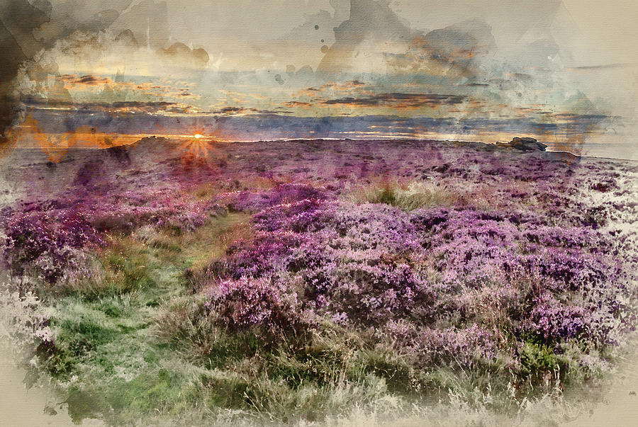 Watercolor Painting Of Beautiful Dawn Sunrise Landscape Image Of Heather On Higger Tor In Summer In Digital Art