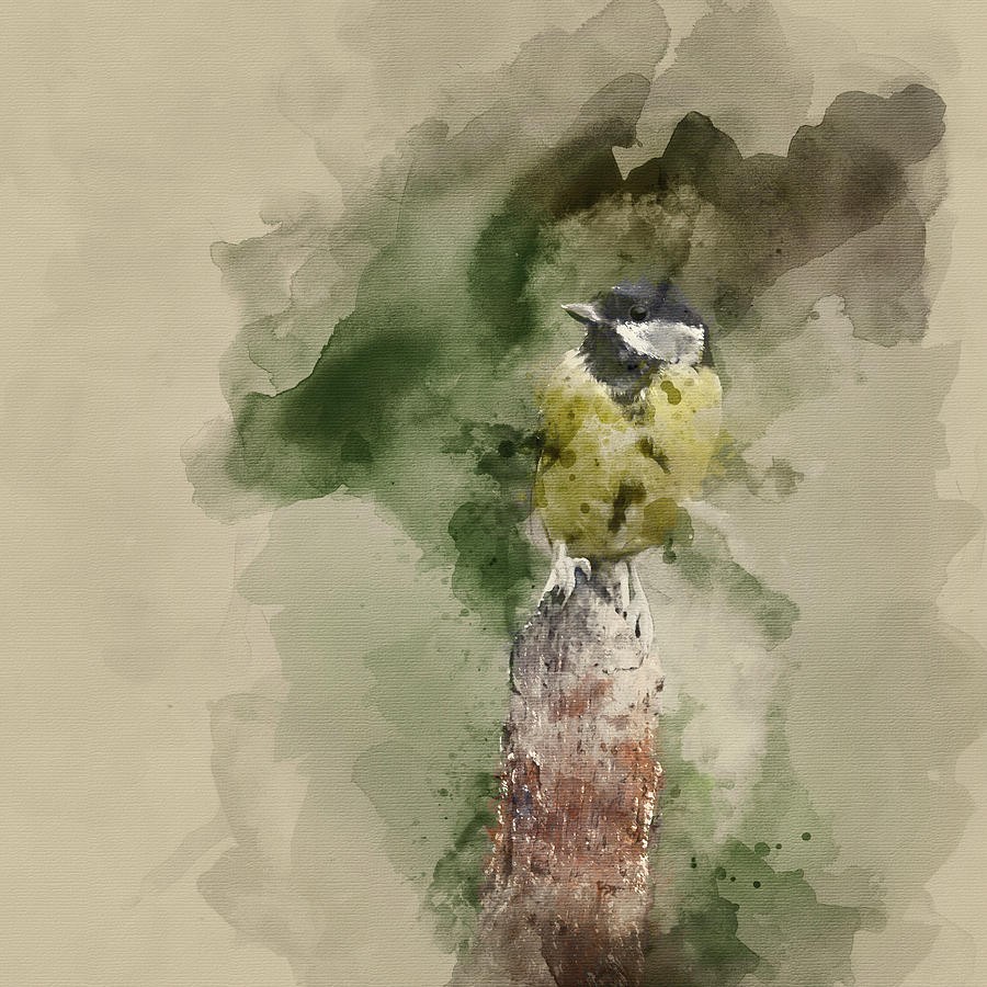 Feather Digital Art - Watercolor painting of Lovely little Coal Tit bird Periparus Ate #1 by Matthew Gibson