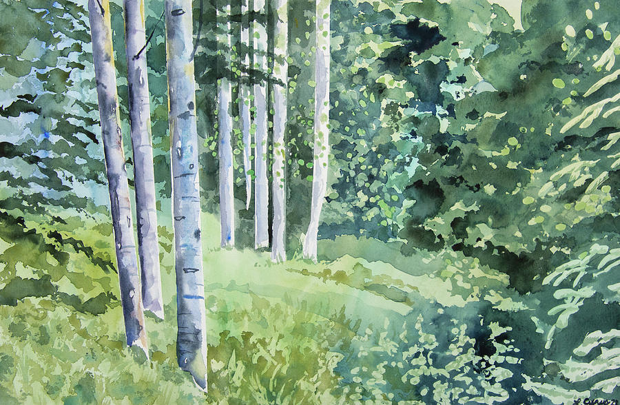 Watercolor - Summer Aspen Glade #2 Painting by Cascade Colors