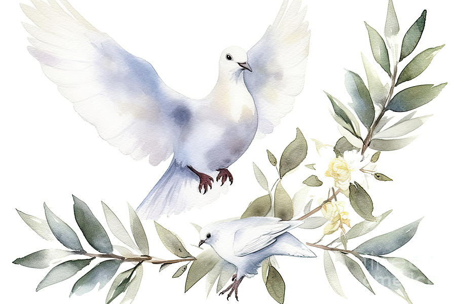 Dove Painting - Watercolor white dove and olive branches. Hand drawn watercolor  #1 by N Akkash