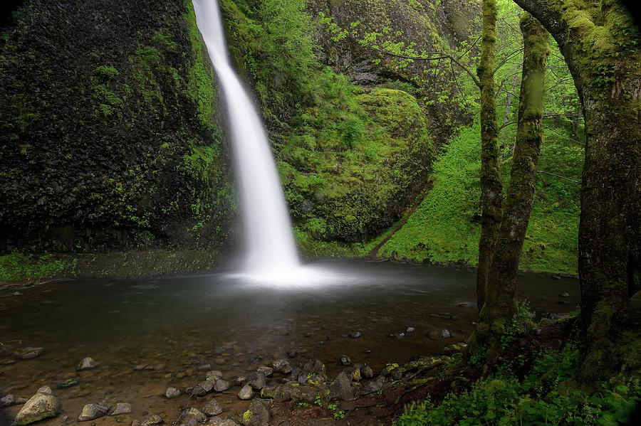 Waterfall, Columbia River Gorge #2 Photograph by Doug Wittrock