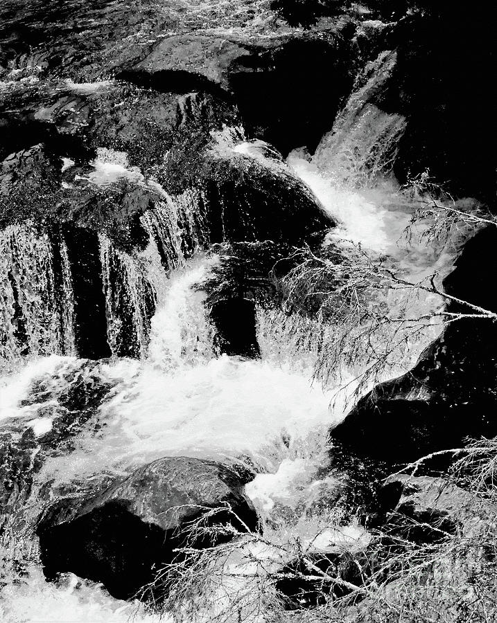 Waterfall in Black and White #1 Photograph by Sharon Williams Eng