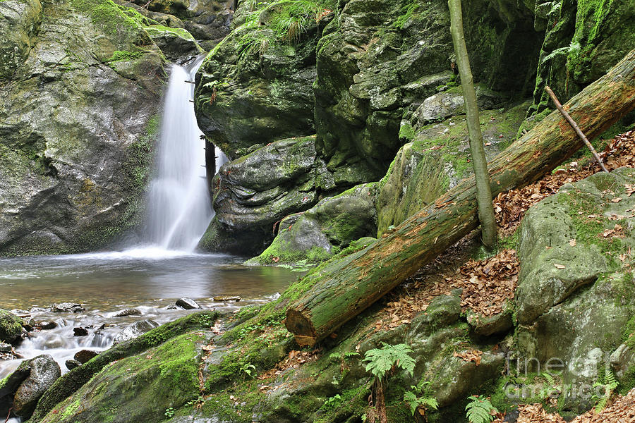 Waterfall on the Silver Brook, Czech Republic #1 Photograph by Michal Boubin