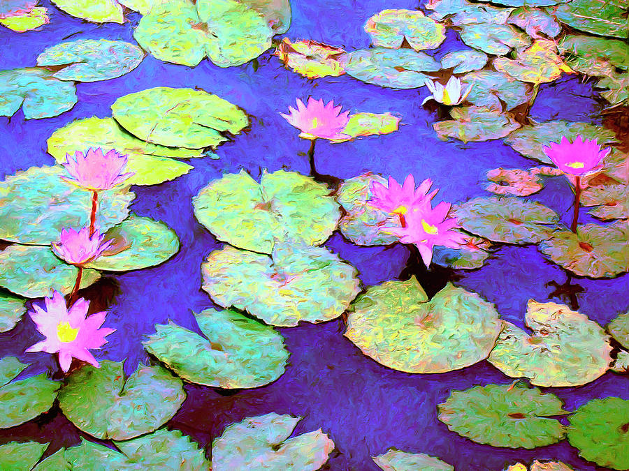 Waterlily Pond #1 Painting by Dominic Piperata