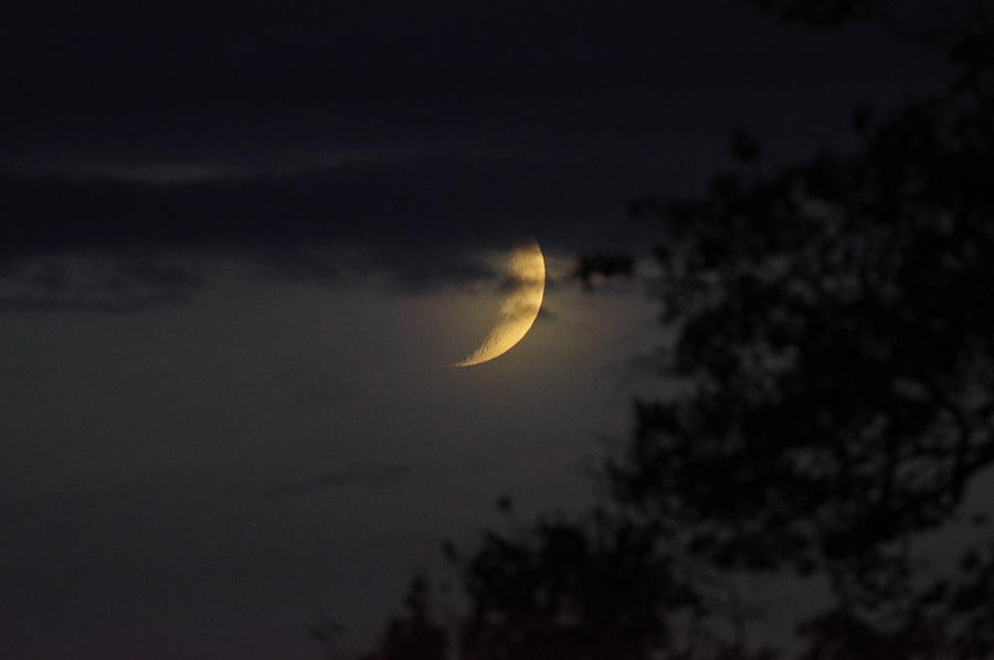 Waxing Crescent in the Cloud #1 Photograph by Murray Croft