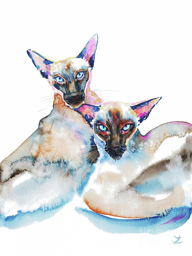 We are Siamese Painting by Zaira Dzhaubaeva - Fine Art America